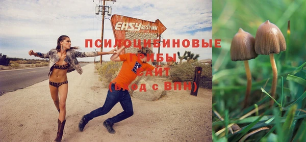 тгк Балабаново