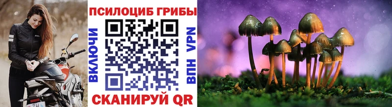 Псилоцибиновые грибы Psilocybine cubensis  Чудово 